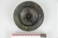 Foto von Bronzephalere (NHMW-PRAE-025824)